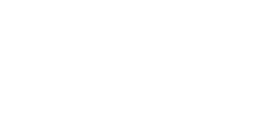 VANiK Technology Solutions white png logo
