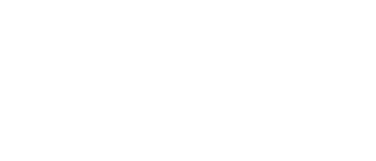 VANiK Technology Solutions png logo